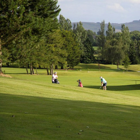 Golf Nenagh Golf Club