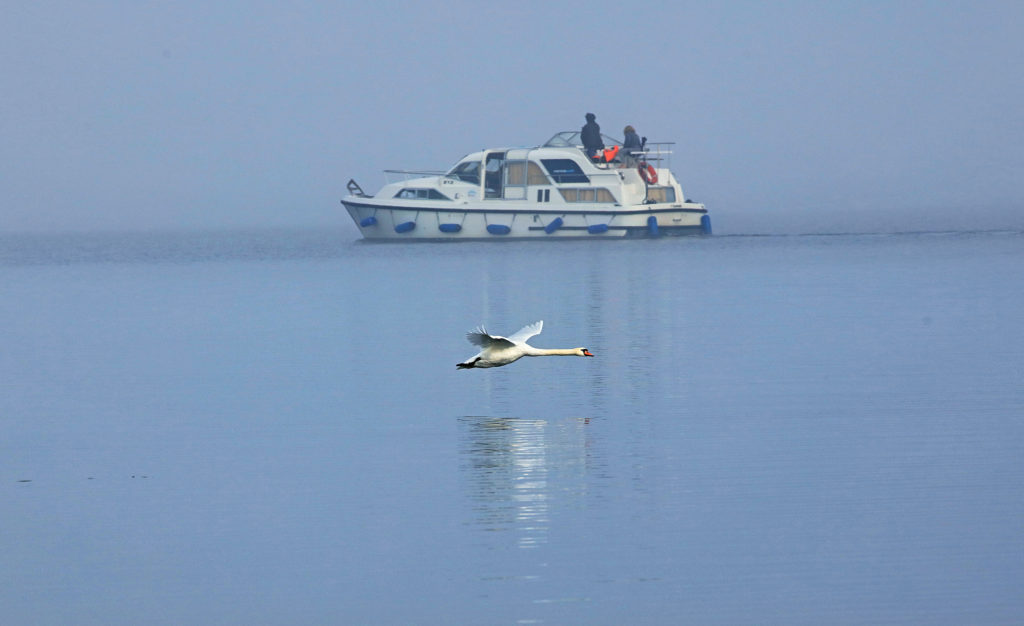 Lough Derg Blueway:Terryglass is a picturesque village nestled on the northern shores of Lough Derg in Co. Tipperary. at the harbour, located a short walk from the village there are Picnic facilities, a playground, slipway, toilets and showers. This is a popular spot for cruisers. The slipway allows visitors and locals to enter easily enter Lough Derg with canoes, kayaks, boats. Accommodation ranges from B&B to self catering cottages in and around the village. Traditional Irish Music sessions are held regularly in the local pubs as well as other live music acts.Photo:Valerie O’Sullivan