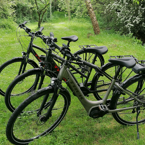 ebiketours
